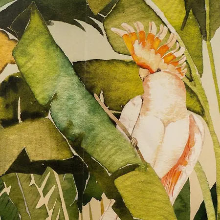 Safira 101 Daire Funchal