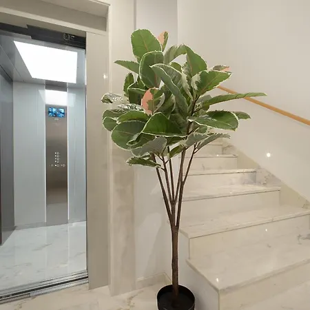 Safira 101 Appartement