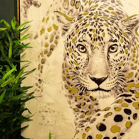 Appartement Safira 101