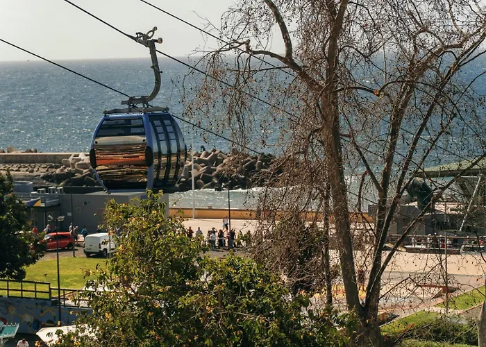 Safira 101 * 丰沙尔